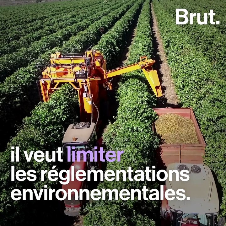 Jair Bolsonaro inquiète les défenseurs de l'environnement