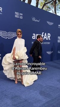 La robe incroyable d’Adriana Karembeu au gala AmfAR.