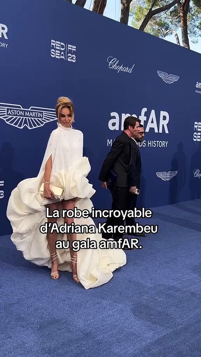 La robe incroyable d’Adriana Karembeu au gala AmfAR.