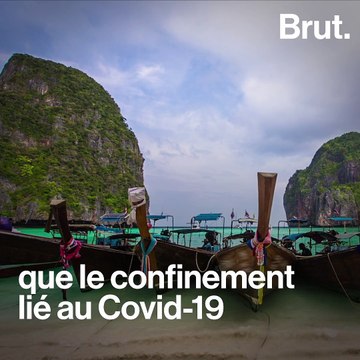 5 bonnes nouvelles pour la planète
