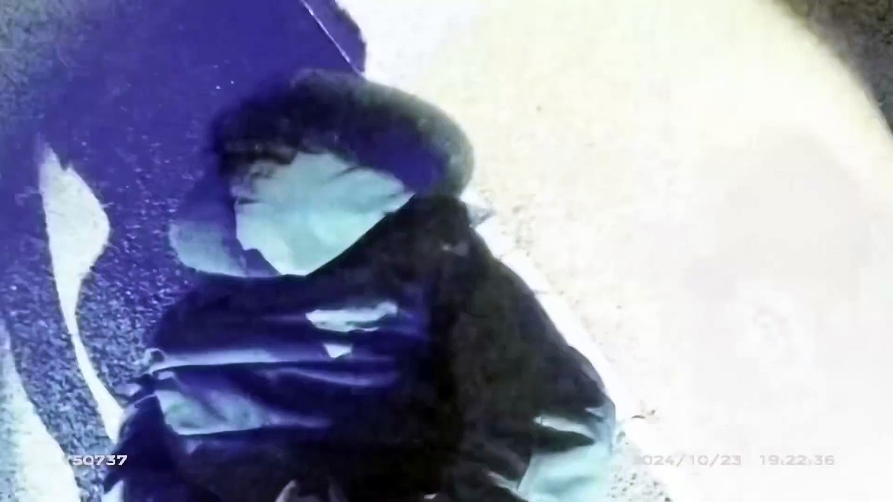 Wellingborough drug dealer tells police officer ‘that’s not mine!’
