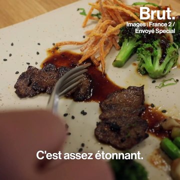 De la viande sans viande, conçue en laboratoire