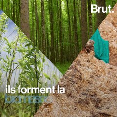 Qu'est-ce que la biomasse ?