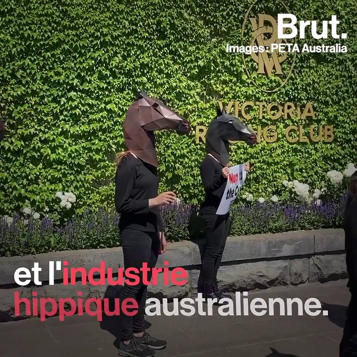 Australie : la mort d'un cheval relance les critiques à l'encontre des courses hippiques