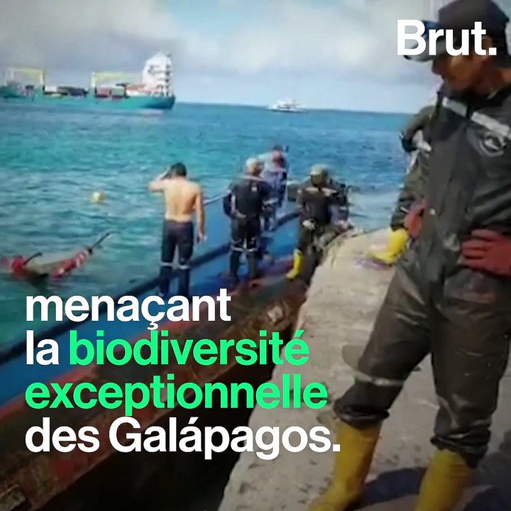 Une marée noire évitée de justesse aux Galápagos