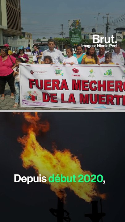 5 bonnes nouvelles pour la planète