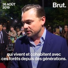 Le don de Leonardo DiCaprio pour protéger l'Amazonie