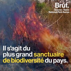 Kenya : l'armée déployée pour neutraliser le feu dans le parc de Tsavo