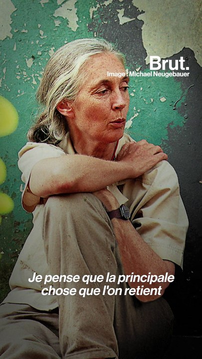Comment Jane Goodall a changé la façon dont l'homme voit les animaux