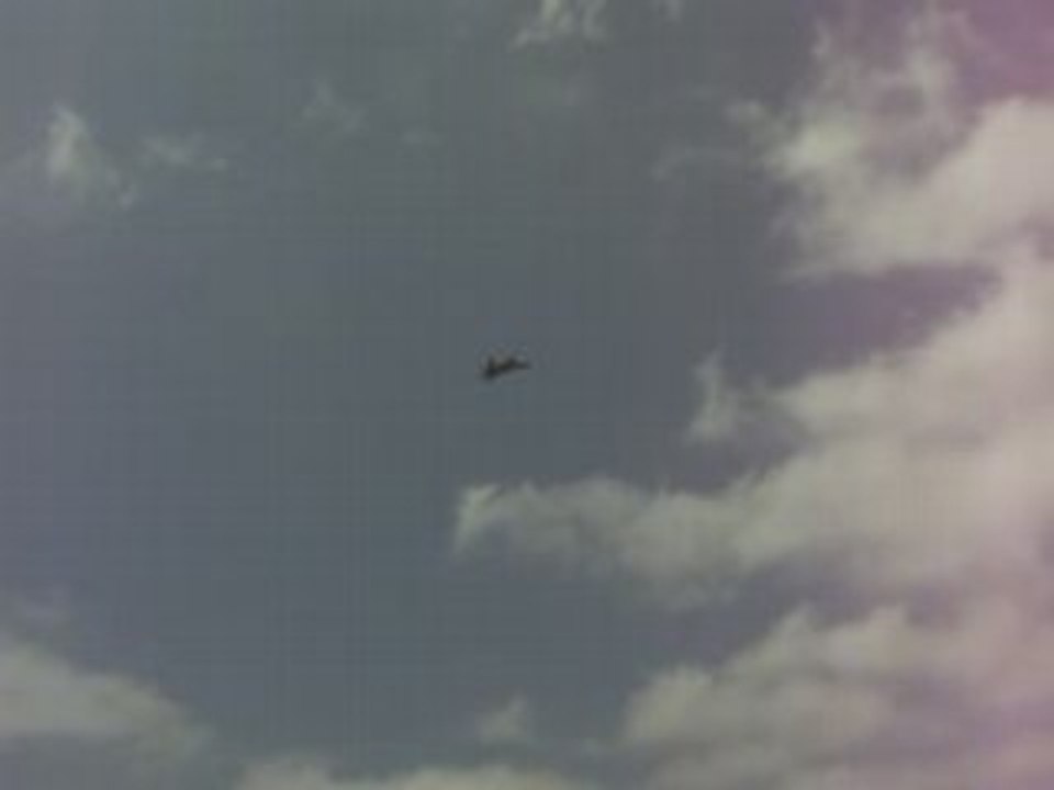 red bull air race 2008 - demo F14 tomcat au ralenti