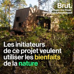 Norvège : des chambres d'hôpital en pleine forêt
