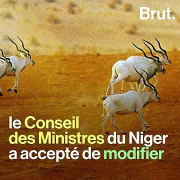 Une immense réserve naturelle menacée par un projet d'exploitation pétrolière