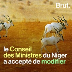 Une immense réserve naturelle menacée par un projet d'exploitation pétrolière