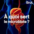 C'est quoi le microbiote ?