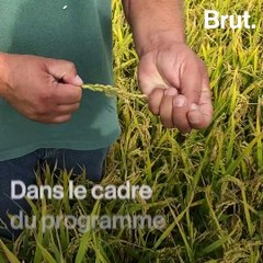 L'engagement de Nespresso