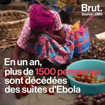 Épidémie d'Ebola en RDC : l'OMS déclare une urgence sanitaire mondiale