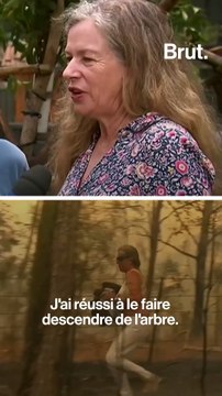 Les retrouvailles entre le koala et celle qui l'a sauvé des flammes