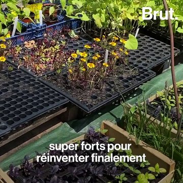 L'oasis du Keruzerh, un petit village breton tourné vers l'avenir