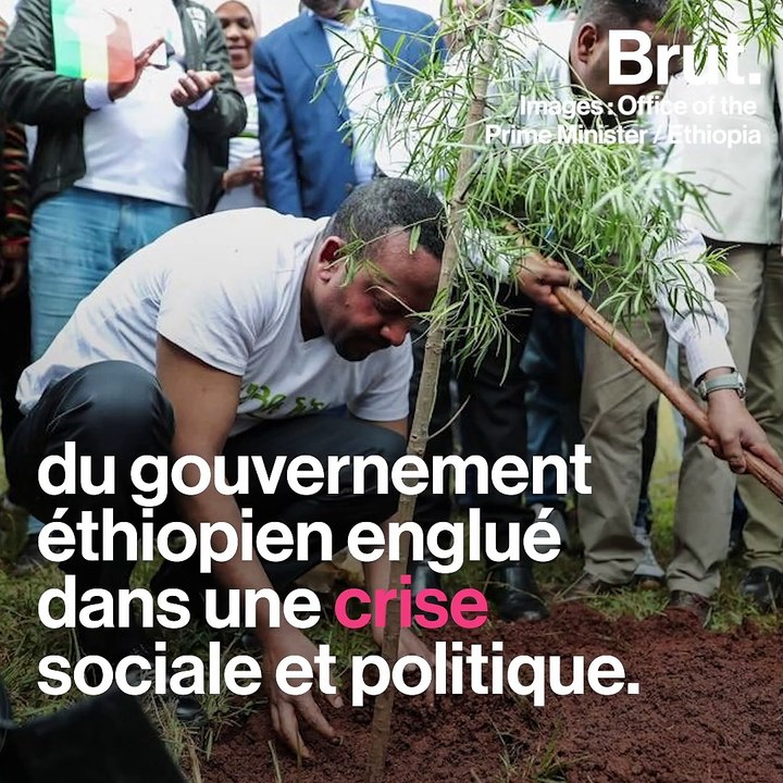 Éthiopie : 353 millions d'arbres plantés en 12 heures