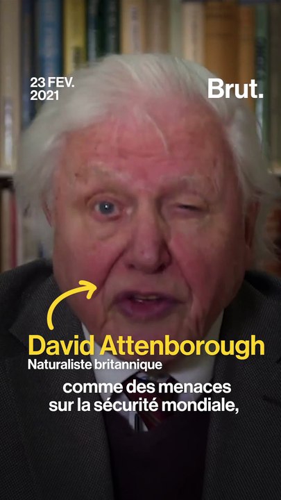 Changement climatique : l'appel de David Attenborough à l'ONU