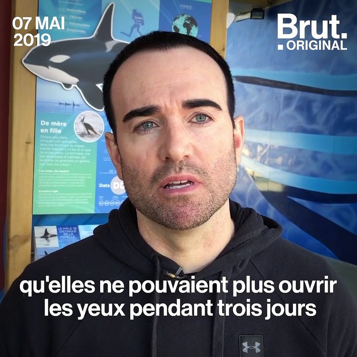 Marineland : un ancien soigneur dénonce l'enfer des orques