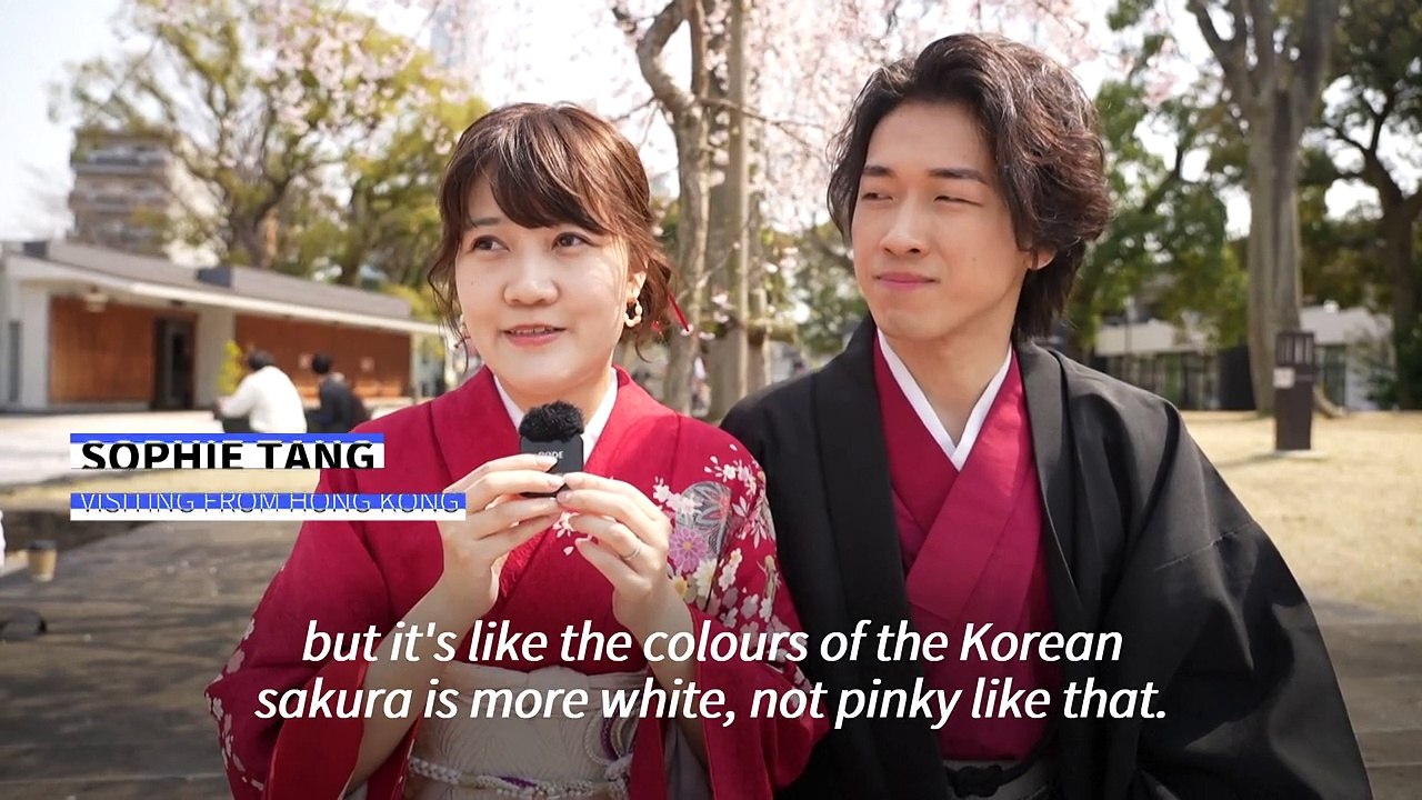 'The first sakura': Cherry blossom season brightens Tokyo