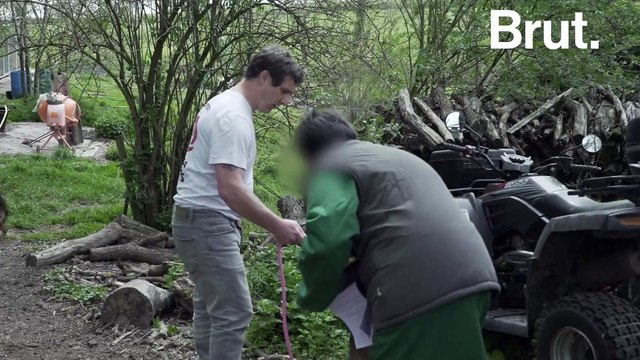 Au secours de chiens maltraités avec 30 millions d'amis