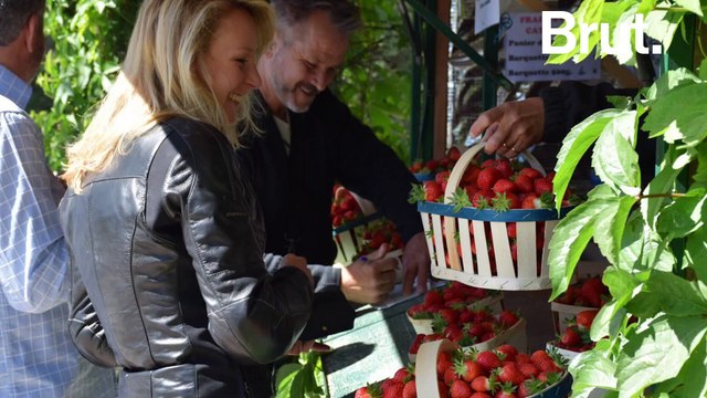 C'est qui Marion Maréchal-Le Pen ?