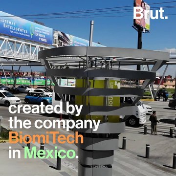 Des arbres artificiels en ville contre la pollution de l'air