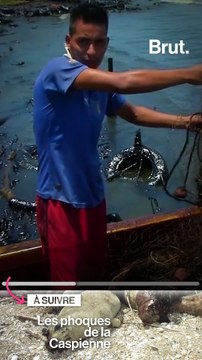 Le désastre écologique causé par l'exploitation du pétrole