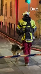 Effondrement d'un immeuble à Marseille, les dernières infos.