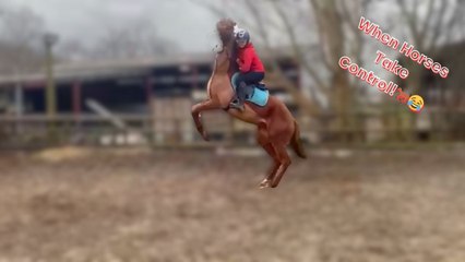 Quirky horses challenge a rider and take control of the ride in style