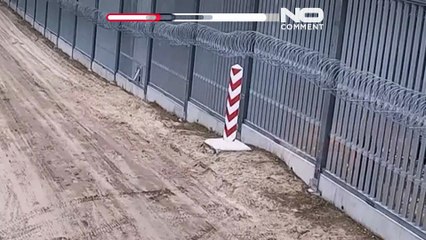 Polish soldiers foil attempted illegal border crossing from Belarus