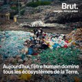Comment l'être humain a façonné la planète