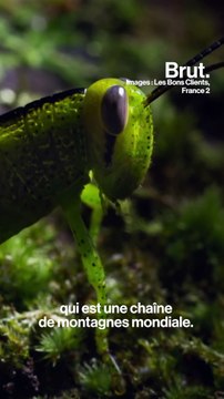 À quoi ressemblait la France avant l'humanité ?