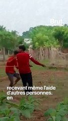 Un homme s'envole avec son cerf-volant