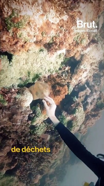 Ecoalf transforme les déchets des fonds marins en vêtements