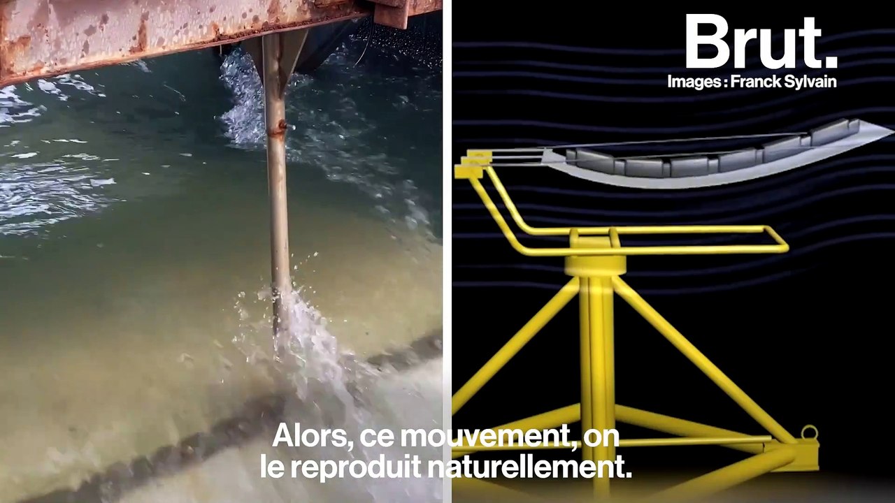 Ils développent une hydrolienne inspirée par le mouvement des poissons