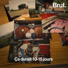 Marie, avocate en droit rural à Gigondas