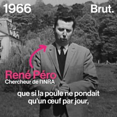 #TBT : 1966 : quand les chercheurs imaginaient l'avenir de l'élevage intensif