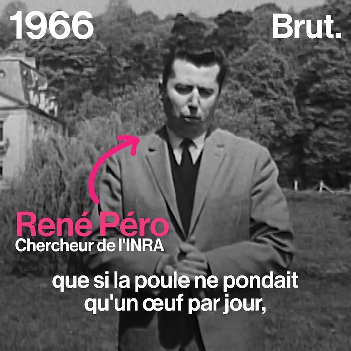 #TBT : 1966 : quand les chercheurs imaginaient l'avenir de l'élevage intensif