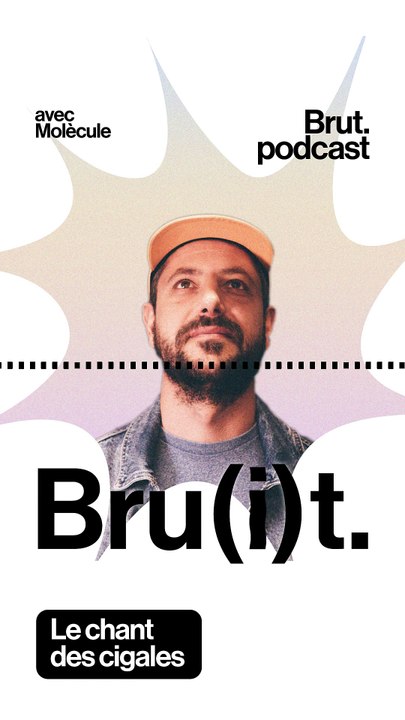 Le chant des cigales