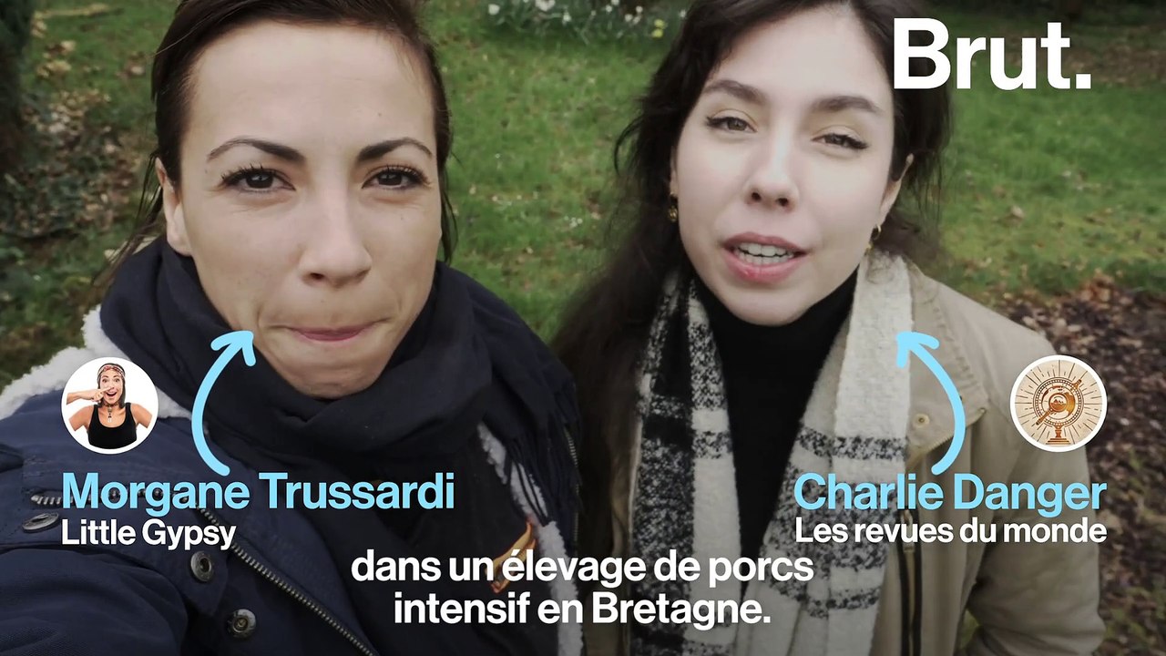 La réalité de l'élevage intensif