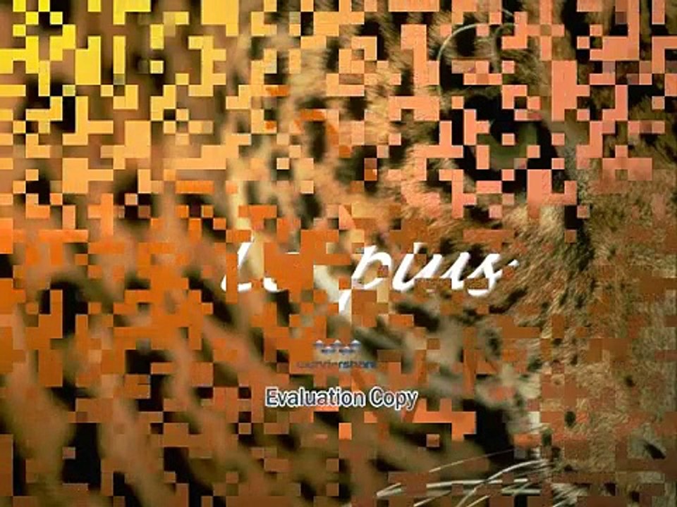 LE PLUS