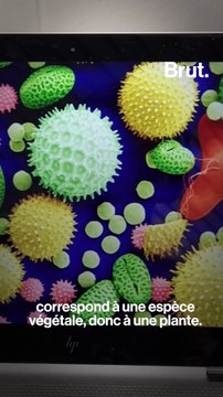 Il utilise les abeilles et l’IA pour lutter contre la pollution