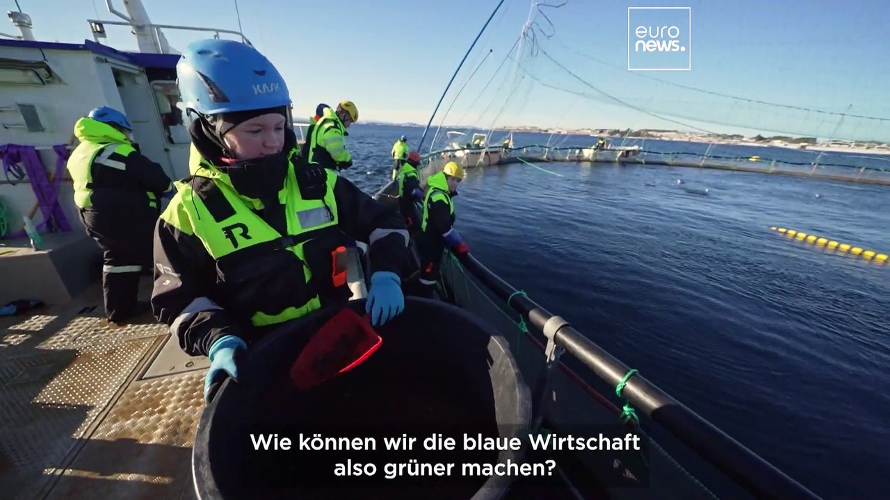 Die blaue Wirtschaft: Was ist das und wie kann sie die Nutzung der Meere nachhaltig machen?