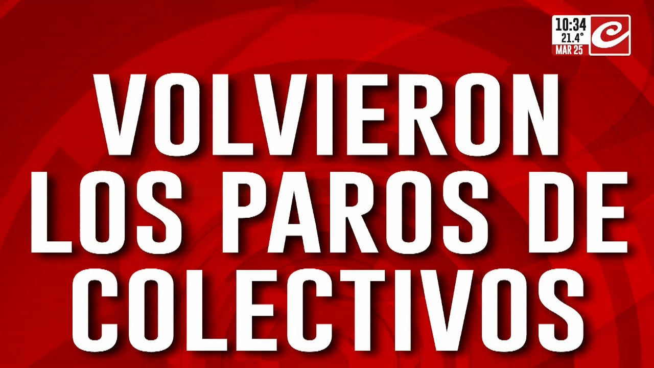 Nuevo paro de colectivos: cuándo será y qué líneas se verán afectadas