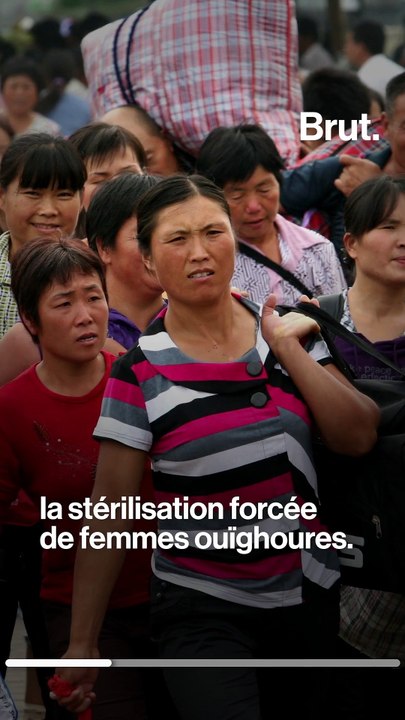 Plus de 500 000 Ouïghours sont forcés à travailler dans des champs de coton