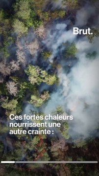 En Sibérie, une chaleur inhabituelle pourrait réveiller les incendies