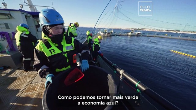 A economia azul: O que é e como pode tornar a utilização dos oceanos sustentável?